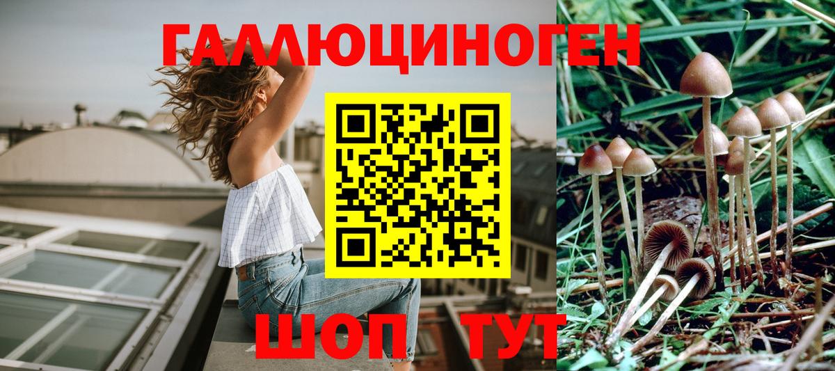 Псилоцибиновые грибы Коркино