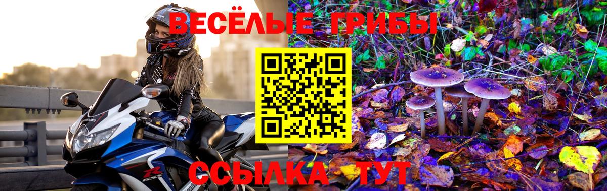 Галлюциногенные грибы Cubensis  Псилоцибиновые грибы Psilocybe  Вход с VPN  цены   Коркино 