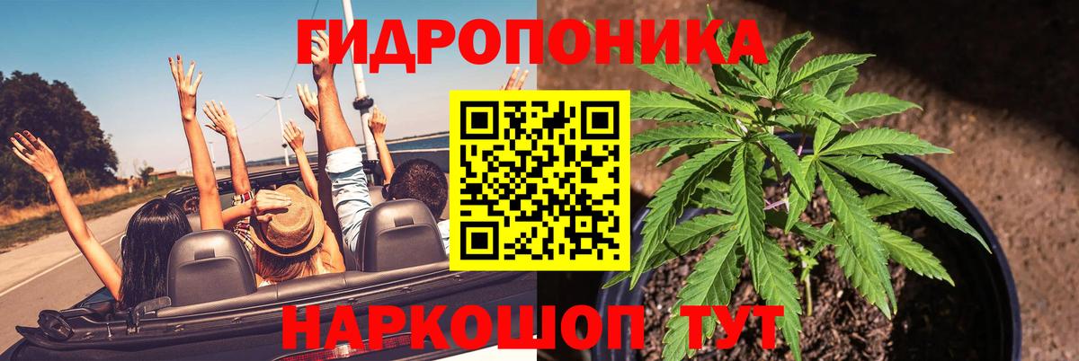 Канабис конопля Коркино